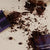 Chocolate Dream Samples